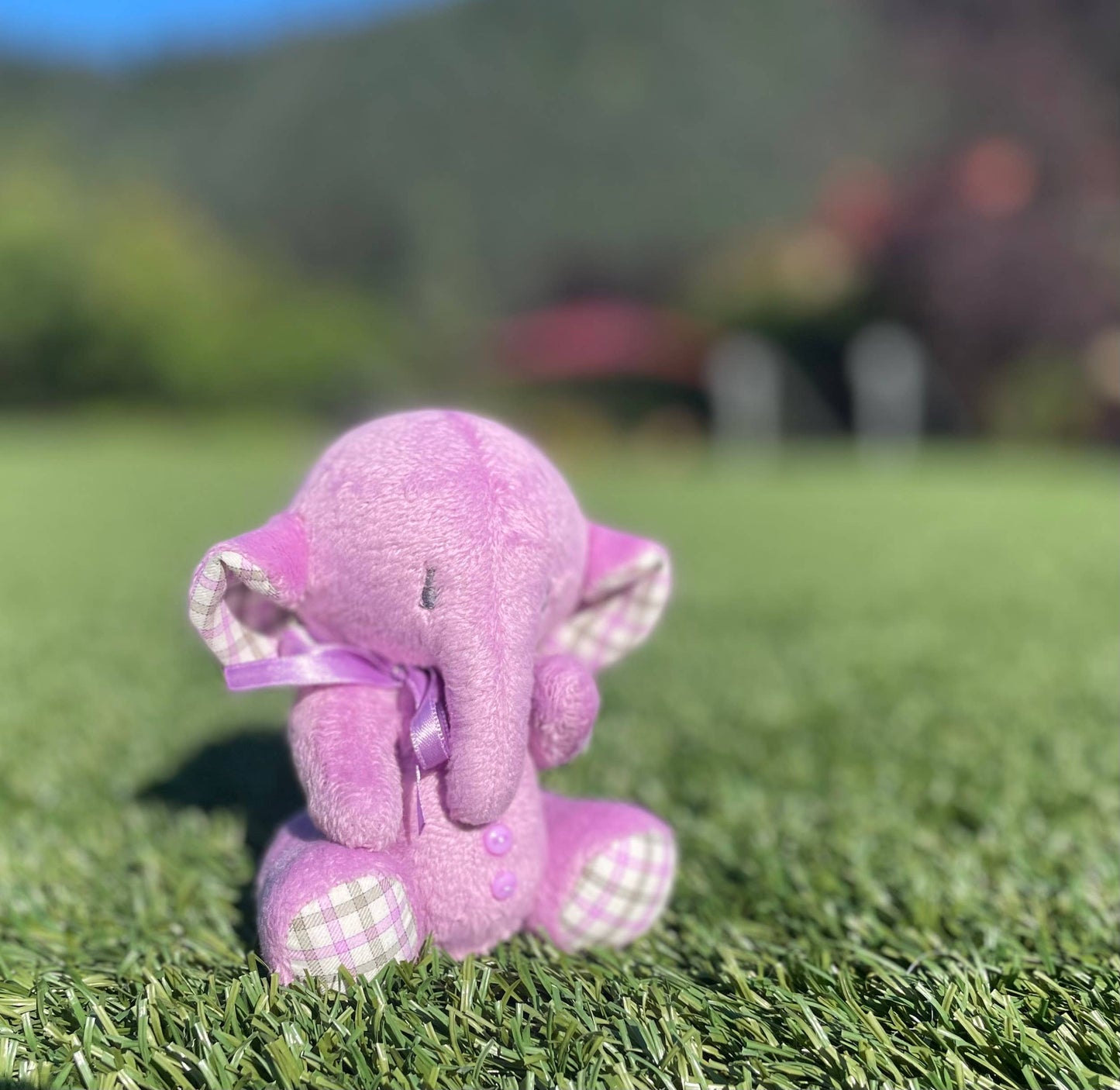 Stuffed Animal Plushie