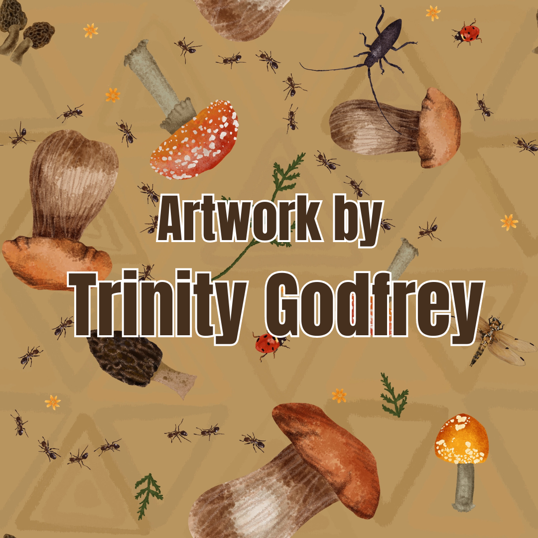 Zippered Romper | Good Morels: Newborn