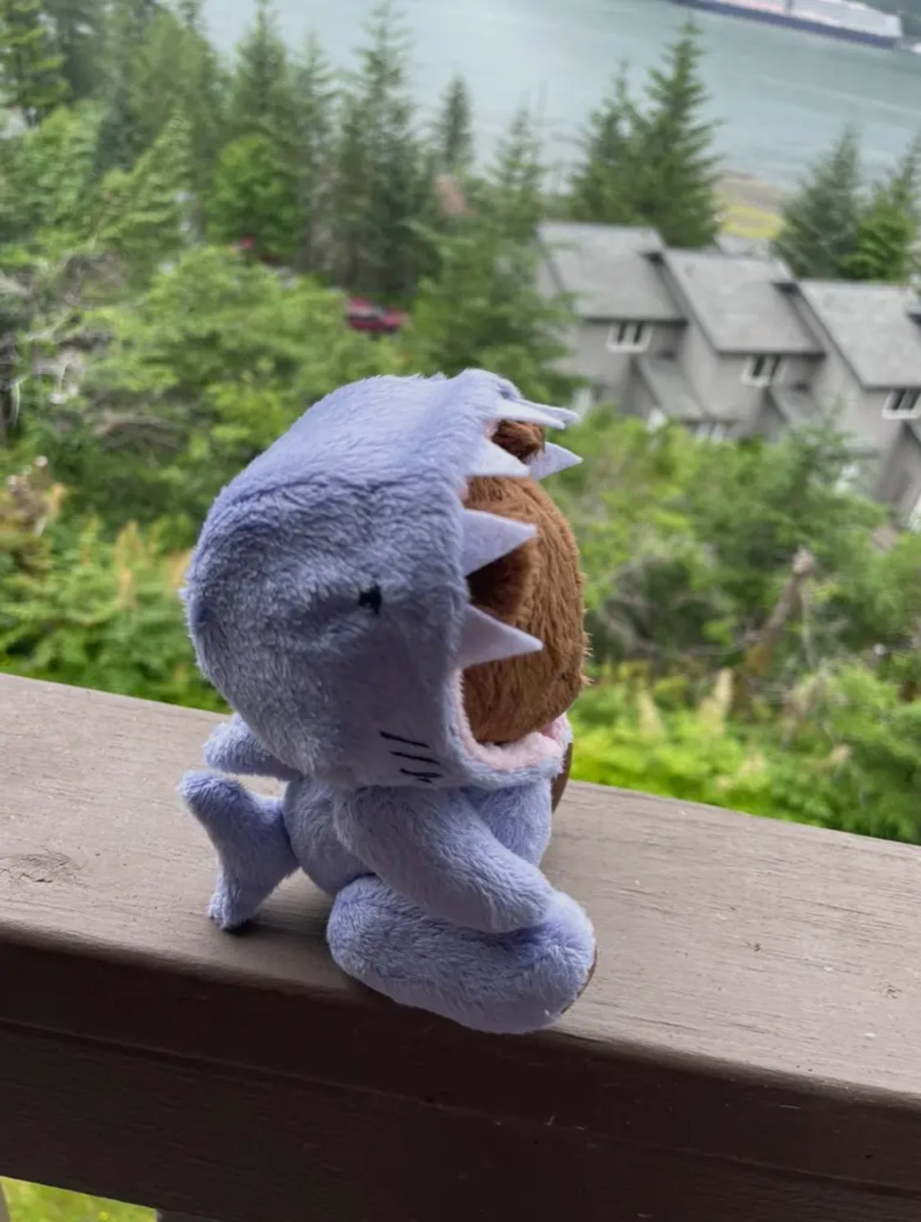 Stuffed Animal Plushie