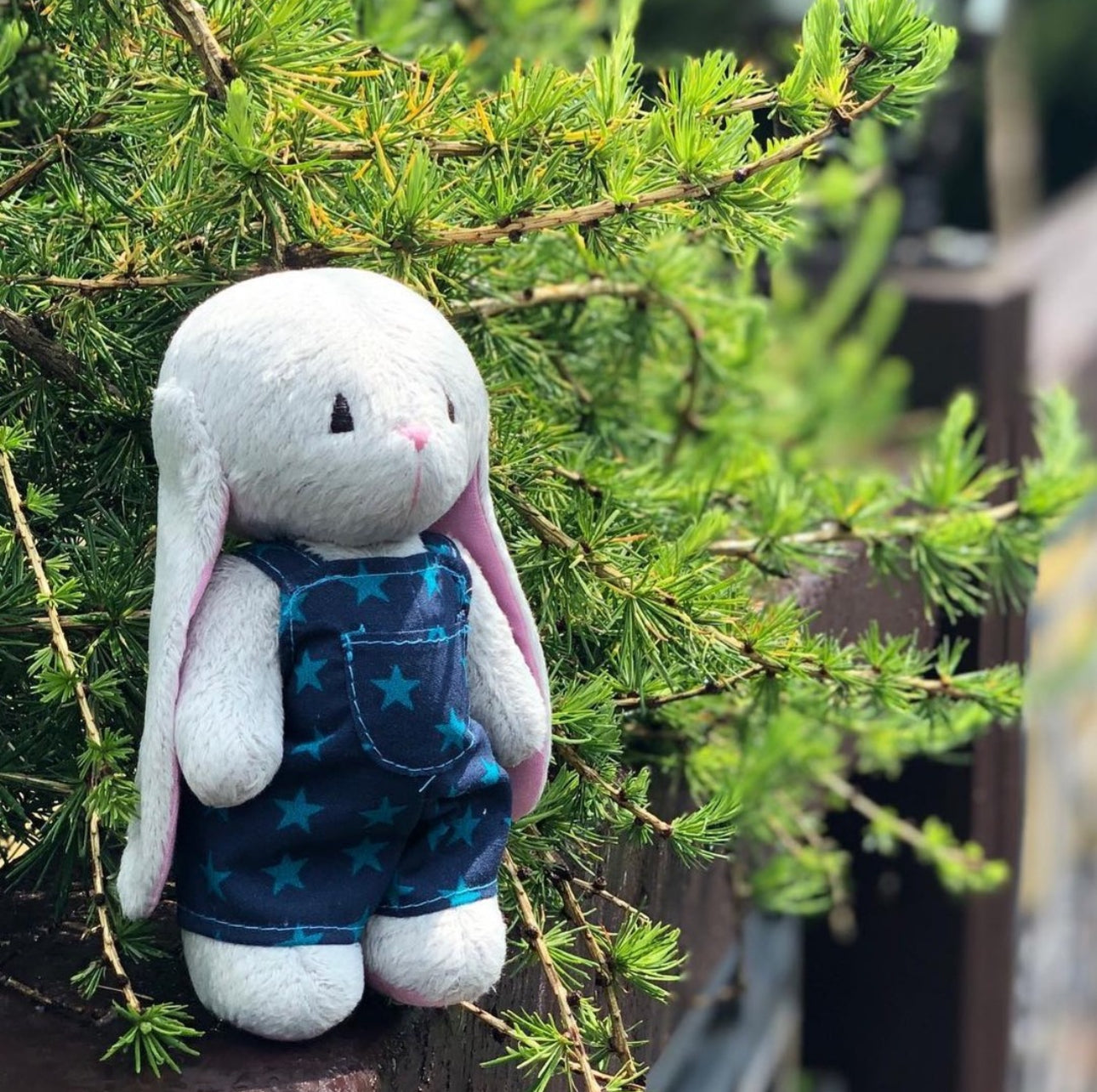 Stuffed Animal Plushie