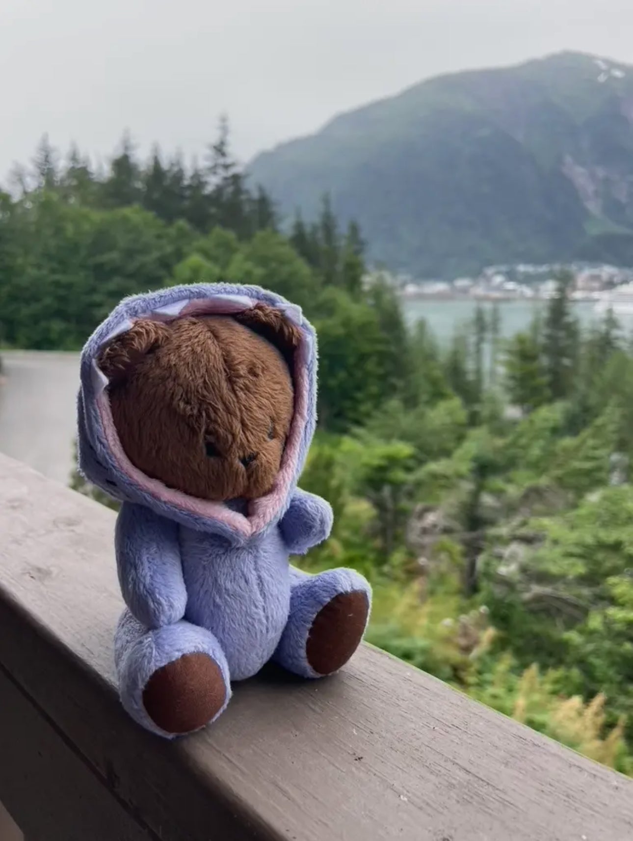 Stuffed Animal Plushie