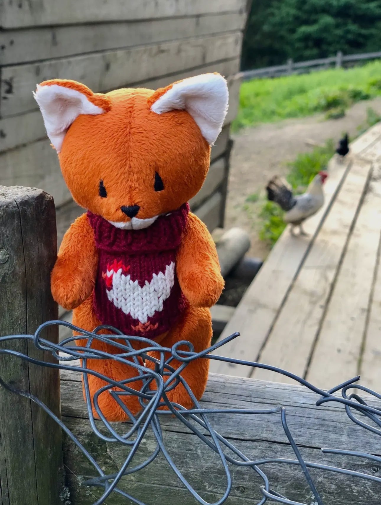 Stuffed Animal Plushie