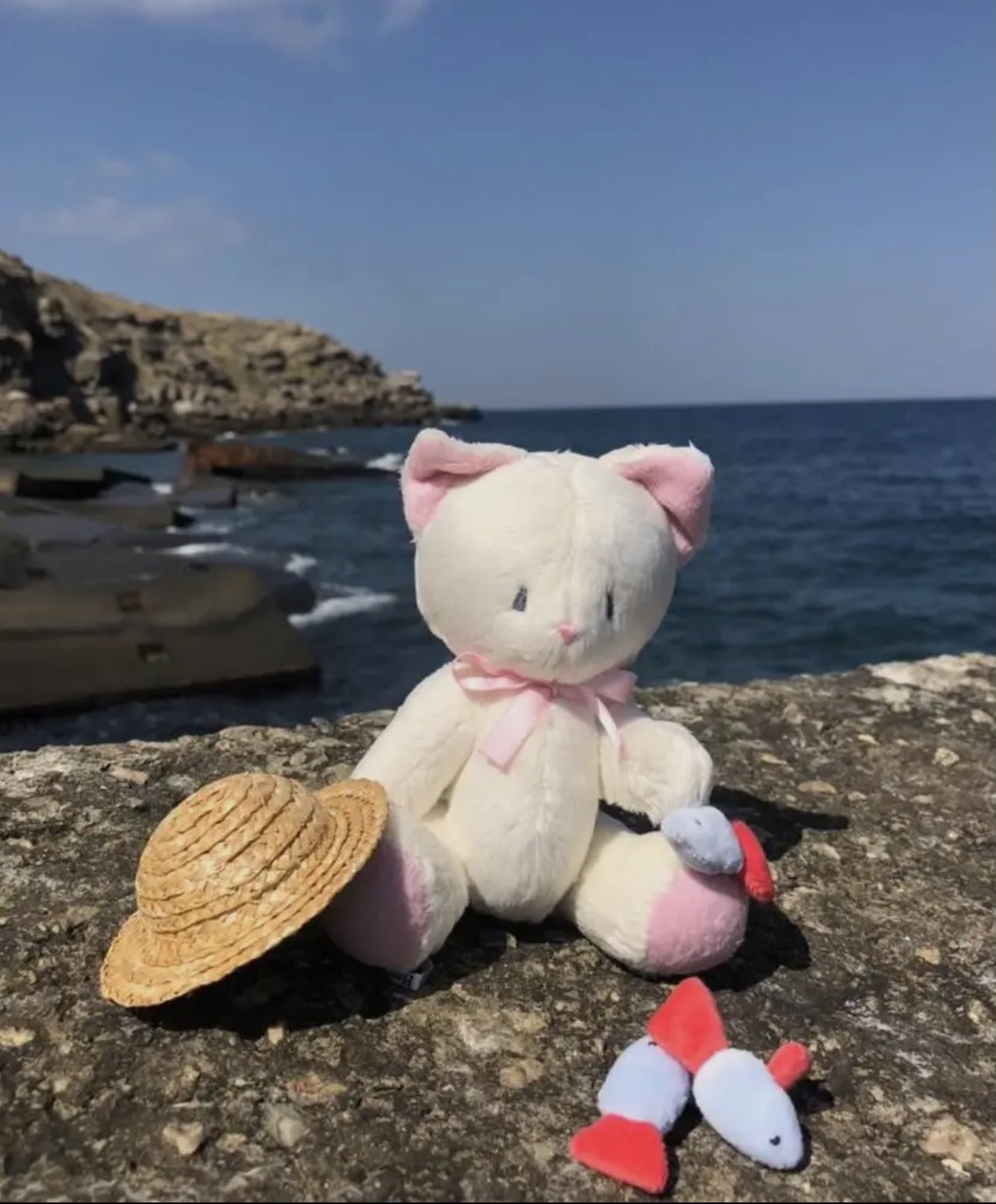 Stuffed Animal Plushie