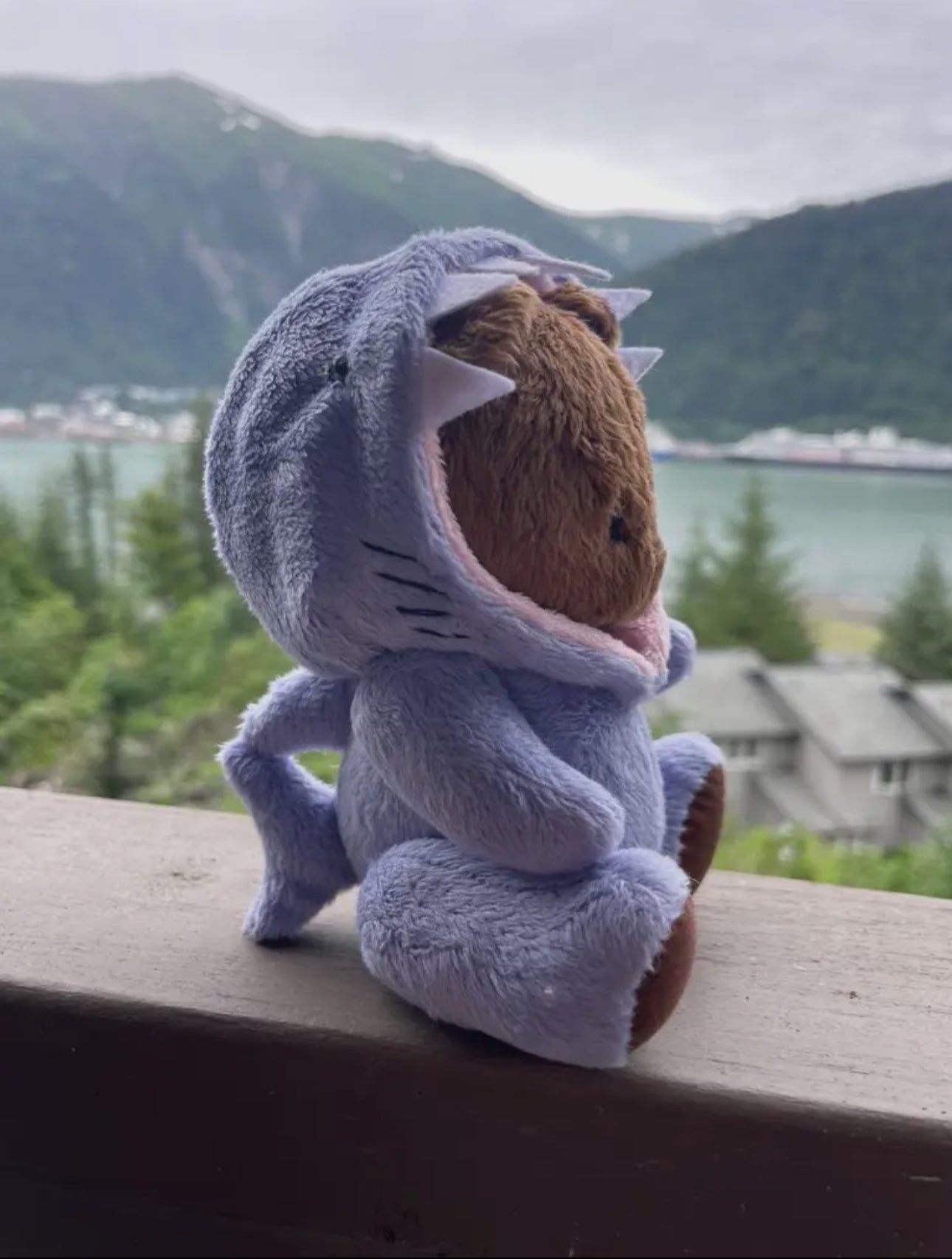Stuffed Animal Plushie