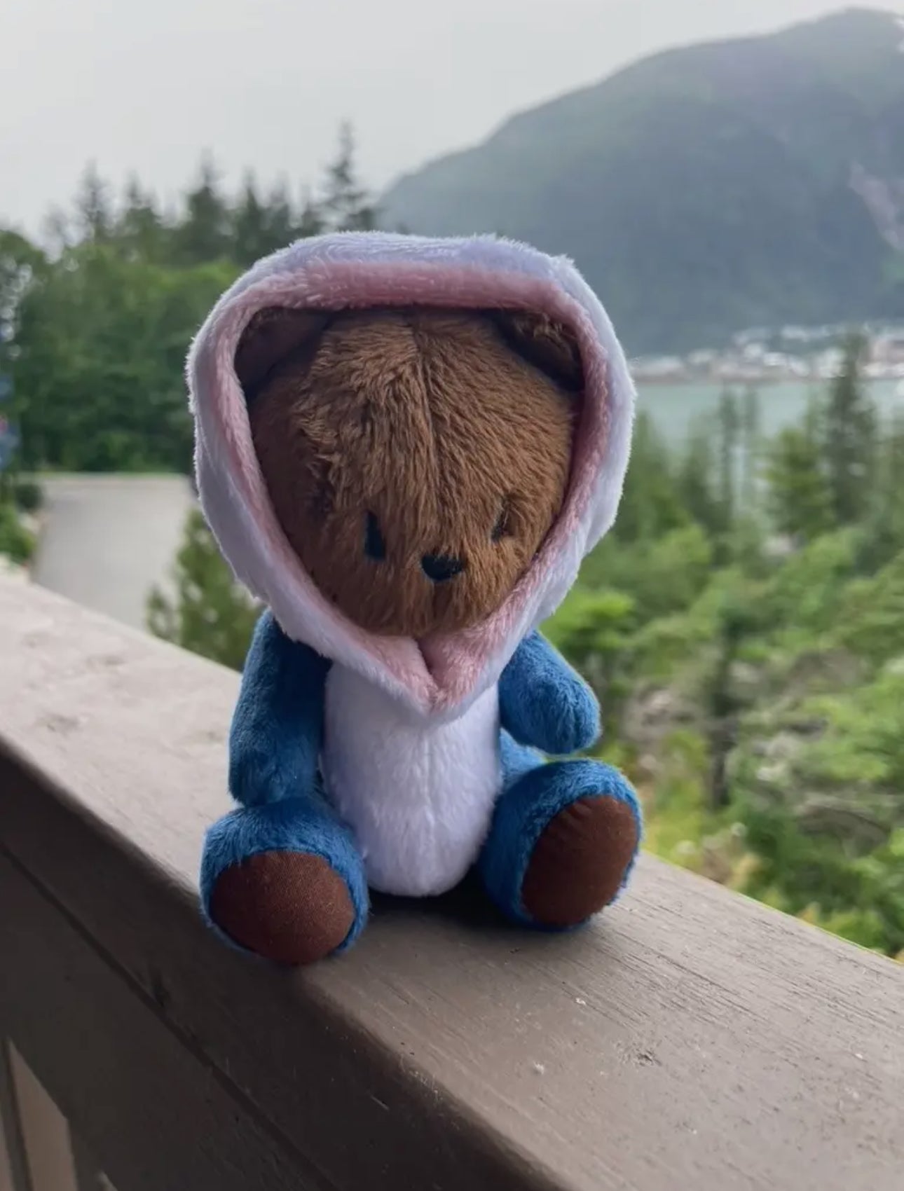 Stuffed Animal Plushie