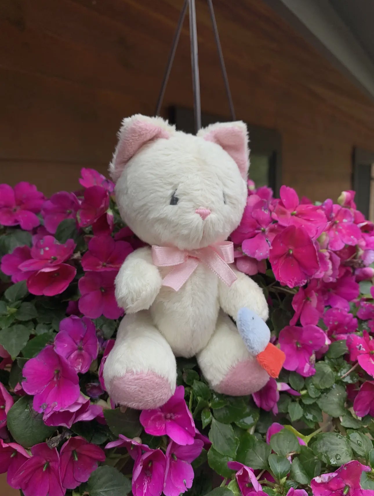 Stuffed Animal Plushie